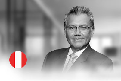 Dante Guerrero ChanduvíDoctor en Ingeniería – Planificación y Gestión de Proyectos de Desarrollo Rural Sostenible –por la Universidad Politécnica de Madrid (España). Máster en Dirección de Proyectos yEducación por la Universidad de Piura. Máster en Ingeniería con especialización en proyectosde desarrollo sostenible por la Universidad Politécnica de Madrid; Ingeniero Industrial y Licenciado en Educación por la Universidad de Piura. Impulsó alrededor de 30 proyectos dedesarrollo con la cooperación internacional.